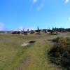  Hole #12 - Greenside - Monday, February 26, 2018 (Bandon Dunes #1 Trip)