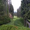  Hole #7 - Tee Shot - Sunday, May 31, 2015