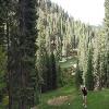 Coyote Moon Golf Course Hole #13 - Tee Shot - Tuesday, July 22, 2025 (Tahoe Trip)