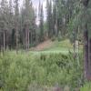  Hole #14 - Greenside - Tuesday, July 22, 2025 (Tahoe Trip)