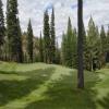  Hole #4 - Greenside - Tuesday, July 22, 2025 (Tahoe Trip)
