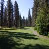 Hole #12 - Tee Shot - Saturday, May 9, 2015