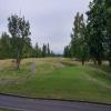  Hole #2 - Tee Shot - Tuesday, June 16, 2015 (U.S. Open 2015 Trip)