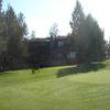 Eagle Crest (Resort) Hole #7 - Wildlife - Wednesday, July 27, 2011 (Bend #1 Trip)