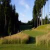 Gold Mountain (Olympic) Hole #13 - Tee Shot - Monday, June 15, 2015 (U.S. Open 2015 Trip)
