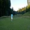  Hole #17 - Tee Shot - Monday, June 15, 2015 (U.S. Open 2015 Trip)