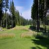  Hole #3 - Tee Shot - Monday, June 15, 2015 (U.S. Open 2015 Trip)