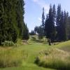 Gold Mountain (Olympic) Hole #4 - Tee Shot - Monday, June 15, 2015 (U.S. Open 2015 Trip)