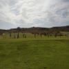 Driving Range - Wednesday, April 27, 2022 (St. George Trip)