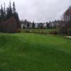  Hole #2 - Greenside - Saturday, March 18, 2017