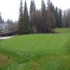  Hole #8 - Greenside - Saturday, March 18, 2017