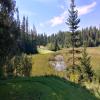  Hole #7 - Tee Shot - Friday, August 25, 2017
