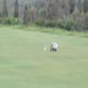 Kapalua (Plantation) Hole #18 - View Of - Monday, May 9, 2011 (Maui #1 Trip)