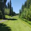 McCall Golf Club (Cedar) Hole #7 - Tee Shot - Sunday, June 23, 2024 (McCall Trip)