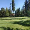 McCall Golf Club (Aspen / Birch) Hole #3 - Greenside - Sunday, June 23, 2024 (McCall Trip)