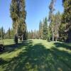 McCall Golf Club (Aspen / Birch) Hole #4 - Tee Shot - Sunday, June 23, 2024 (McCall Trip)