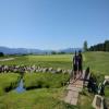  Hole #2 - Greenside - Monday, June 24, 2024 (McCall Trip)