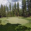  Hole #4 - Greenside - Wednesday, July 23, 2025 (Tahoe Trip)