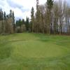  Hole #8 - Greenside - Friday, March 2, 2018 (Bandon Dunes #1 Trip)