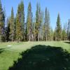  Hole #4 - Greenside - Thursday, July 21, 2022 (Sunriver #2 Trip)