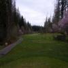  Hole #5 - Tee Shot - Saturday, March 19, 2016
