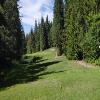 Salmon Arm (Champions) Hole #5 - Tee Shot - Saturday, August 6, 2022 (Shuswap Trip)