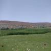  Hole #6 - Tee Shot - Friday, April 29, 2022 (St. George Trip)