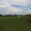 Streamsong (Red) Hole #15 - Wildlife - Wednesday, June 12, 2019 (Orlando Trip)