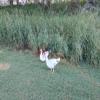  Hole #5 - Wildlife - Tuesday, February 8, 2022 (Maui #2 Trip)