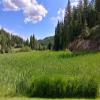 The Idaho Club Hole #8 - Approach - Monday, June 25, 2018