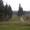  Hole #4 - Tee Shot - Monday, August 24, 2015 (Flathead Valley #5 Trip)