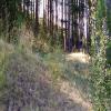  Hole #6 - Tee Shot - Monday, August 29, 2016 (Cranberley #1 Trip)