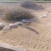 We-Ko-Pa (Cholla) Hole #11 - Attraction - Wednesday, January 1, 2020 (Scottsdale Trip)