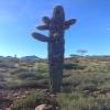 We-Ko-Pa (Saguaro) Hole #7 - Attraction - Wednesday, January 1, 2020 (Scottsdale Trip)